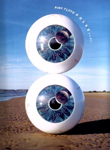 p-u-l-s-e / Pink Floyd (DVD)