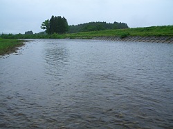 真室川合流付近の鮭川