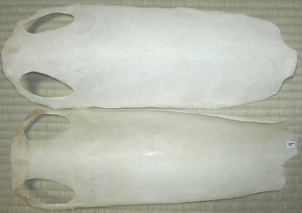 "SAMEKAWA"shark(ray)skin